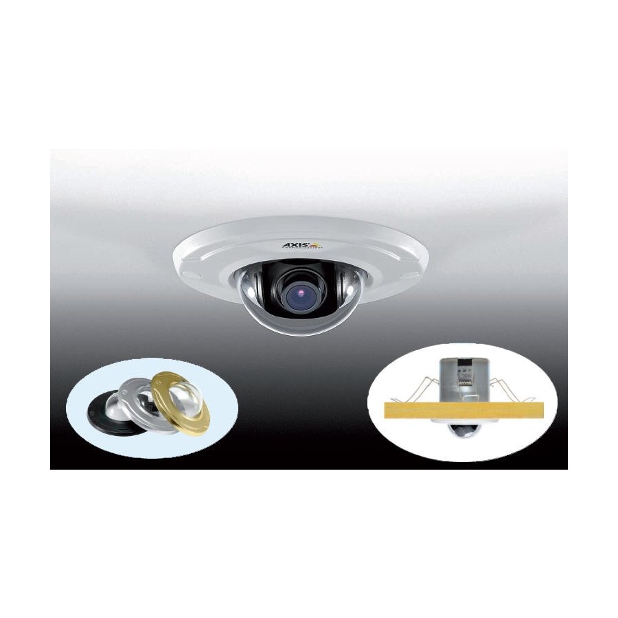 Axis M3011